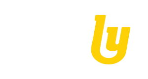 Firely Server logo